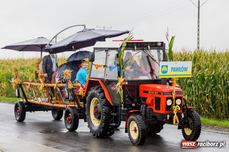 Zdjęcie w galerii na portalu naszraciborz.pl: Gminne dożynki Pietrowic Wielkich w Kornicach. Pogoda nie była łaskawa, ale humory dopisały FOTO i WIDEO wiadomości z regionu
