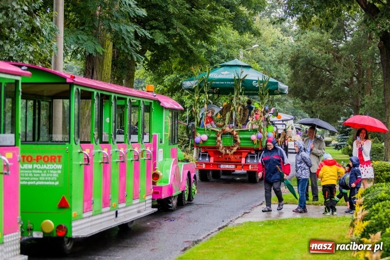 Zdjęcie w galerii na portalu naszraciborz.pl: Gminne dożynki Pietrowic Wielkich w Kornicach. Pogoda nie była łaskawa, ale humory dopisały FOTO i WIDEO wiadomości z regionu
