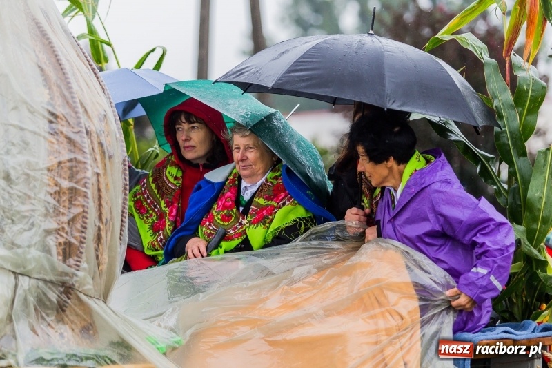Zdjęcie w galerii na portalu naszraciborz.pl: Gminne dożynki Pietrowic Wielkich w Kornicach. Pogoda nie była łaskawa, ale humory dopisały FOTO i WIDEO wiadomości z regionu