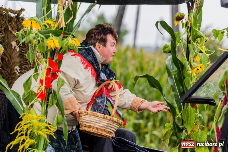Zdjęcie w galerii na portalu naszraciborz.pl: Gminne dożynki Pietrowic Wielkich w Kornicach. Pogoda nie była łaskawa, ale humory dopisały FOTO i WIDEO wiadomości z regionu
