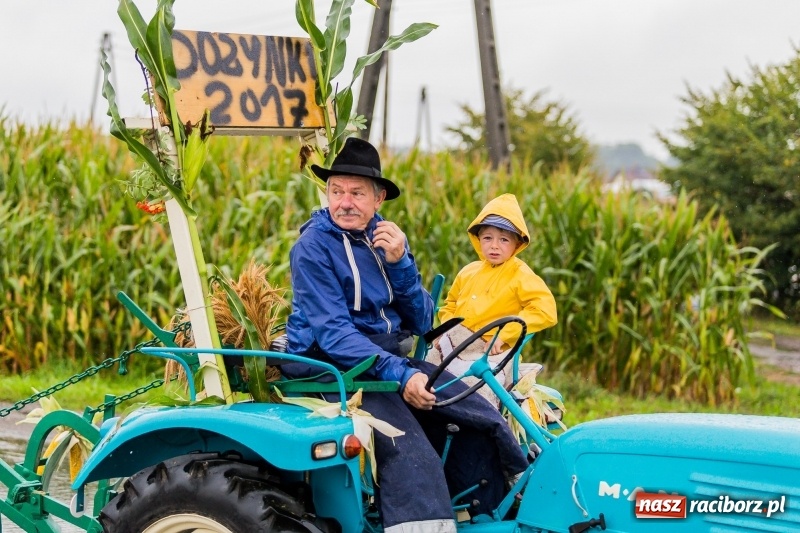 Zdjęcie w galerii na portalu naszraciborz.pl: Gminne dożynki Pietrowic Wielkich w Kornicach. Pogoda nie była łaskawa, ale humory dopisały FOTO i WIDEO wiadomości z regionu