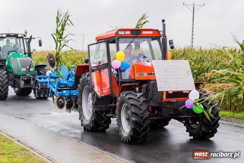 Zdjęcie w galerii na portalu naszraciborz.pl: Gminne dożynki Pietrowic Wielkich w Kornicach. Pogoda nie była łaskawa, ale humory dopisały FOTO i WIDEO wiadomości z regionu
