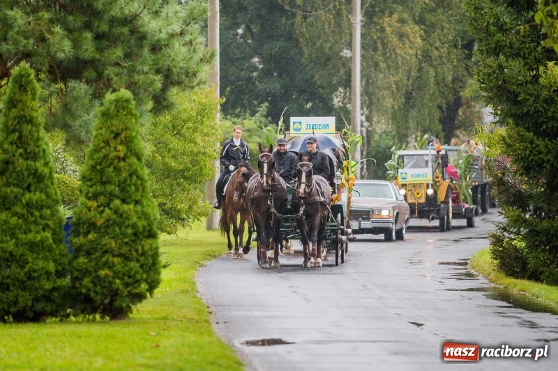 Zdjęcie w galerii na portalu naszraciborz.pl: Gminne dożynki Pietrowic Wielkich w Kornicach. Pogoda nie była łaskawa, ale humory dopisały FOTO i WIDEO wiadomości z regionu