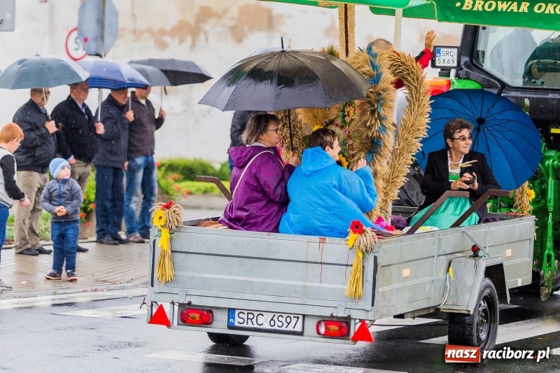 Zdjęcie w galerii na portalu naszraciborz.pl: Gminne dożynki Pietrowic Wielkich w Kornicach. Pogoda nie była łaskawa, ale humory dopisały FOTO i WIDEO wiadomości z regionu