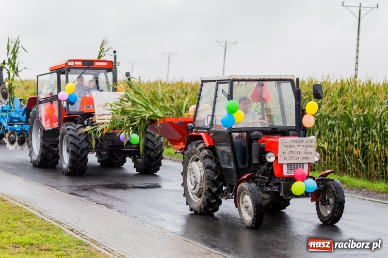 Zdjęcie w galerii na portalu naszraciborz.pl: Gminne dożynki Pietrowic Wielkich w Kornicach. Pogoda nie była łaskawa, ale humory dopisały FOTO i WIDEO wiadomości z regionu