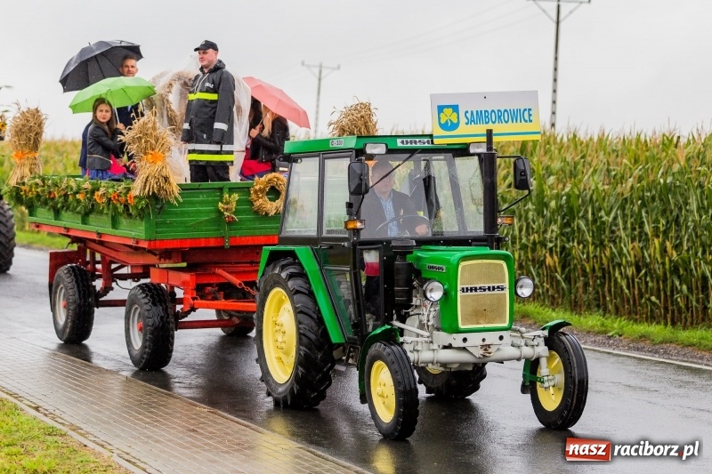 Zdjęcie w galerii na portalu naszraciborz.pl: Gminne dożynki Pietrowic Wielkich w Kornicach. Pogoda nie była łaskawa, ale humory dopisały FOTO i WIDEO wiadomości z regionu