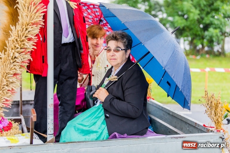 Zdjęcie w galerii na portalu naszraciborz.pl: Gminne dożynki Pietrowic Wielkich w Kornicach. Pogoda nie była łaskawa, ale humory dopisały FOTO i WIDEO wiadomości z regionu