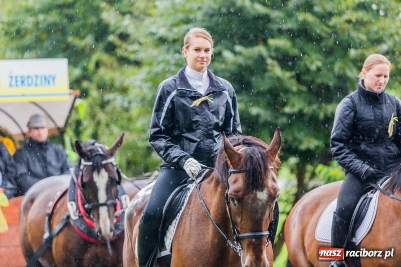 Zdjęcie w galerii na portalu naszraciborz.pl: Gminne dożynki Pietrowic Wielkich w Kornicach. Pogoda nie była łaskawa, ale humory dopisały FOTO i WIDEO wiadomości z regionu