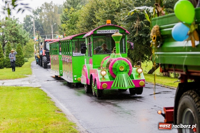 Zdjęcie w galerii na portalu naszraciborz.pl: Gminne dożynki Pietrowic Wielkich w Kornicach. Pogoda nie była łaskawa, ale humory dopisały FOTO i WIDEO wiadomości z regionu