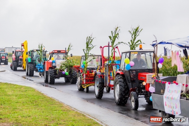 Zdjęcie w galerii na portalu naszraciborz.pl: Gminne dożynki Pietrowic Wielkich w Kornicach. Pogoda nie była łaskawa, ale humory dopisały FOTO i WIDEO wiadomości z regionu