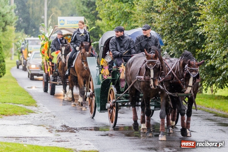 Zdjęcie w galerii na portalu naszraciborz.pl: Gminne dożynki Pietrowic Wielkich w Kornicach. Pogoda nie była łaskawa, ale humory dopisały FOTO i WIDEO wiadomości z regionu