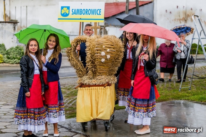 Zdjęcie w galerii na portalu naszraciborz.pl: Gminne dożynki Pietrowic Wielkich w Kornicach. Pogoda nie była łaskawa, ale humory dopisały FOTO i WIDEO wiadomości z regionu