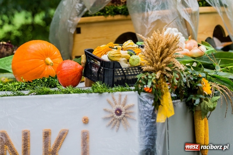 Zdjęcie w galerii na portalu naszraciborz.pl: Gminne dożynki Pietrowic Wielkich w Kornicach. Pogoda nie była łaskawa, ale humory dopisały FOTO i WIDEO wiadomości z regionu