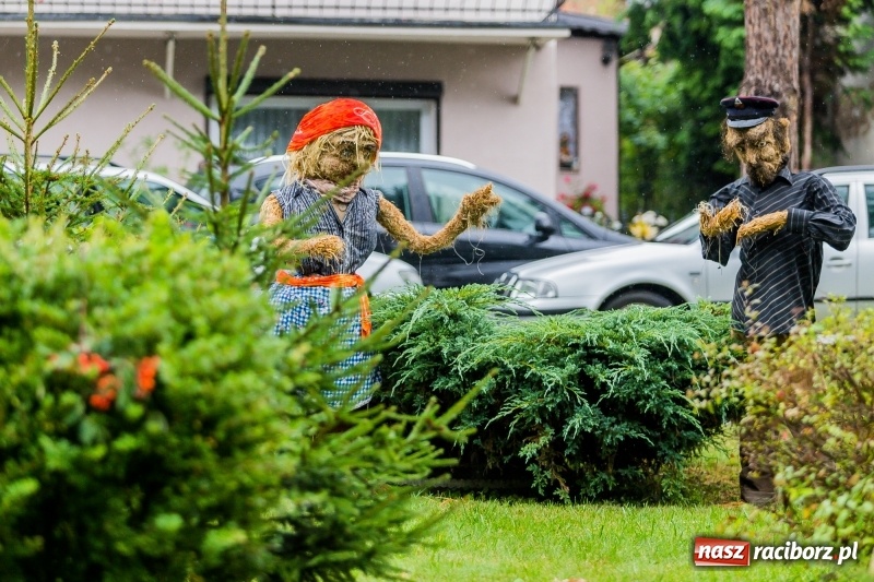 Zdjęcie w galerii na portalu naszraciborz.pl: Gminne dożynki Pietrowic Wielkich w Kornicach. Pogoda nie była łaskawa, ale humory dopisały FOTO i WIDEO wiadomości z regionu