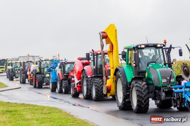Zdjęcie w galerii na portalu naszraciborz.pl: Gminne dożynki Pietrowic Wielkich w Kornicach. Pogoda nie była łaskawa, ale humory dopisały FOTO i WIDEO wiadomości z regionu