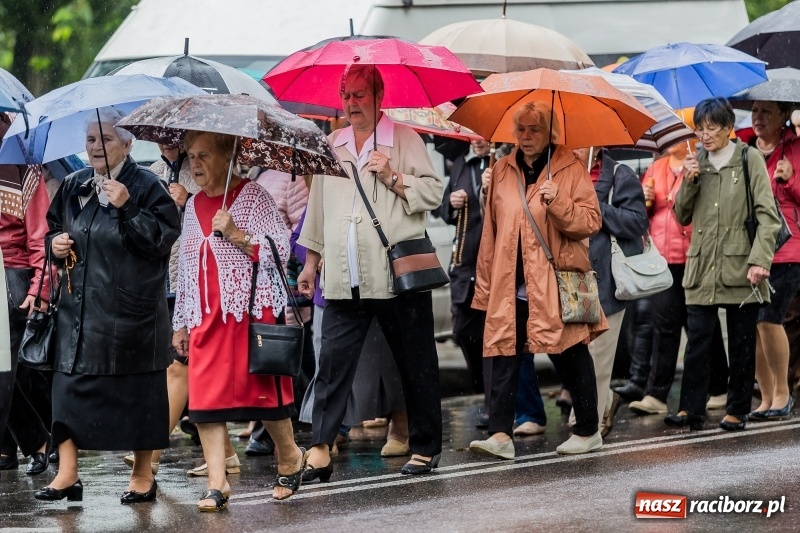 Zdjęcie w galerii na portalu naszraciborz.pl: Parafia miejska ze ślubowaną pielgrzymką do Matki Bożej wiadomości z regionu