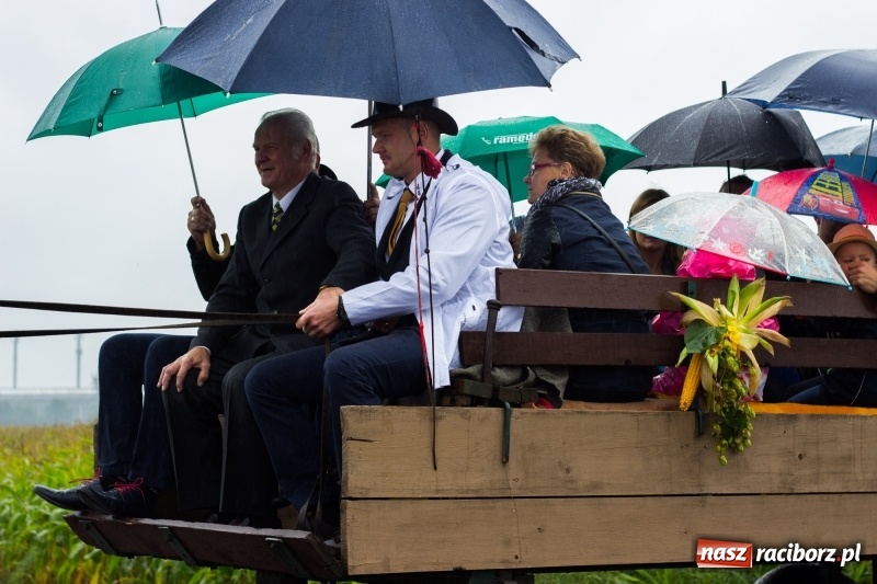 Zdjęcie w galerii na portalu naszraciborz.pl: Budziska gospodarzem gminnych dożynek Kuźni Raciborskiej FOTORELACJA wiadomości z regionu