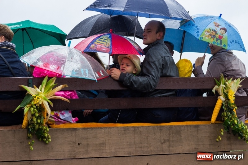 Zdjęcie w galerii na portalu naszraciborz.pl: Budziska gospodarzem gminnych dożynek Kuźni Raciborskiej FOTORELACJA wiadomości z regionu