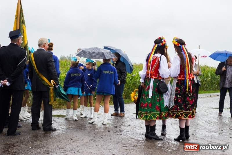 Zdjęcie w galerii na portalu naszraciborz.pl: Budziska gospodarzem gminnych dożynek Kuźni Raciborskiej FOTORELACJA wiadomości z regionu
