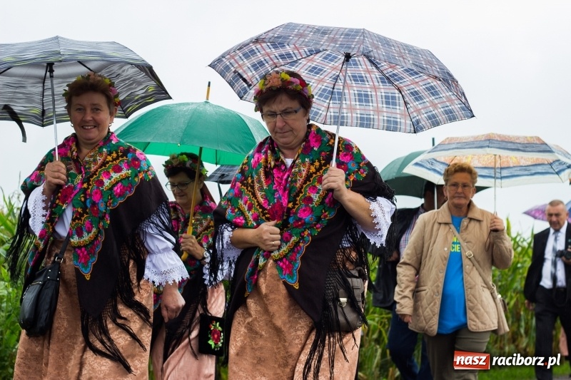 Zdjęcie w galerii na portalu naszraciborz.pl: Budziska gospodarzem gminnych dożynek Kuźni Raciborskiej FOTORELACJA wiadomości z regionu