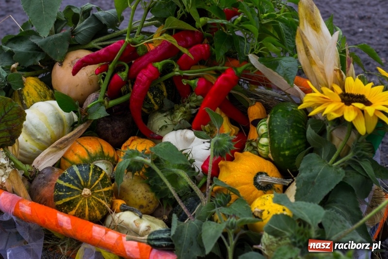 Zdjęcie w galerii na portalu naszraciborz.pl: Budziska gospodarzem gminnych dożynek Kuźni Raciborskiej FOTORELACJA wiadomości z regionu