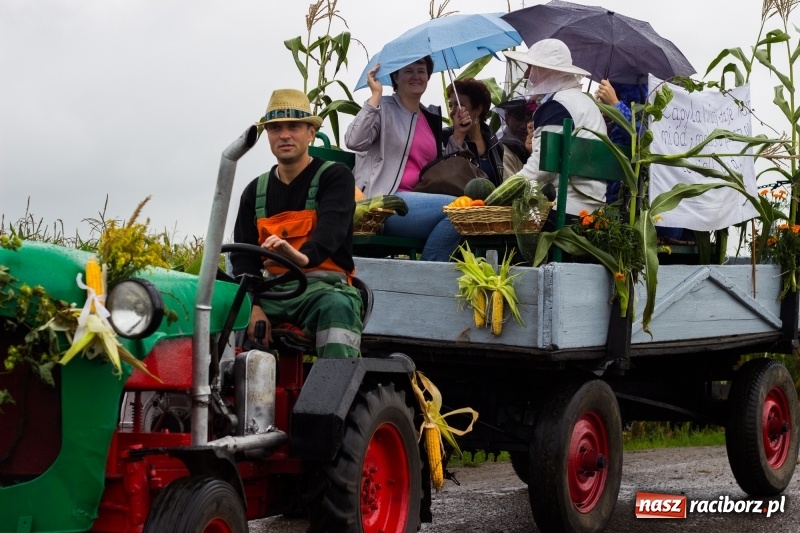 Zdjęcie w galerii na portalu naszraciborz.pl: Budziska gospodarzem gminnych dożynek Kuźni Raciborskiej FOTORELACJA wiadomości z regionu