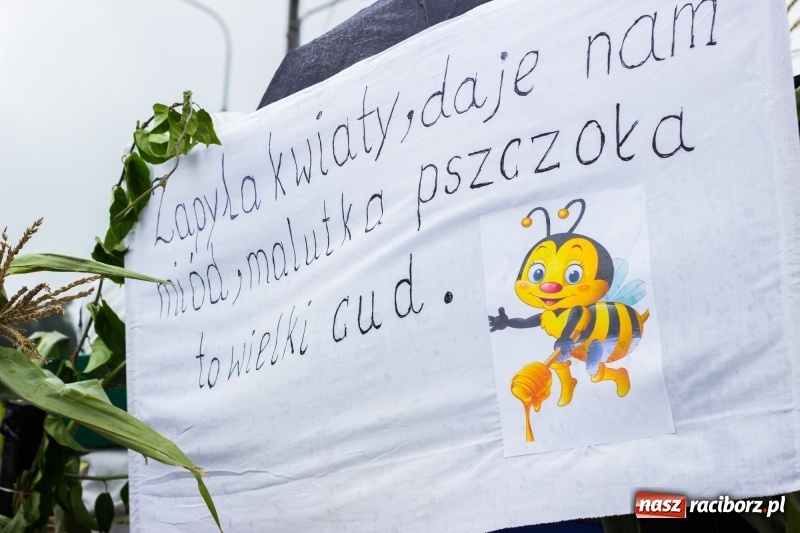 Zdjęcie w galerii na portalu naszraciborz.pl: Budziska gospodarzem gminnych dożynek Kuźni Raciborskiej FOTORELACJA wiadomości z regionu