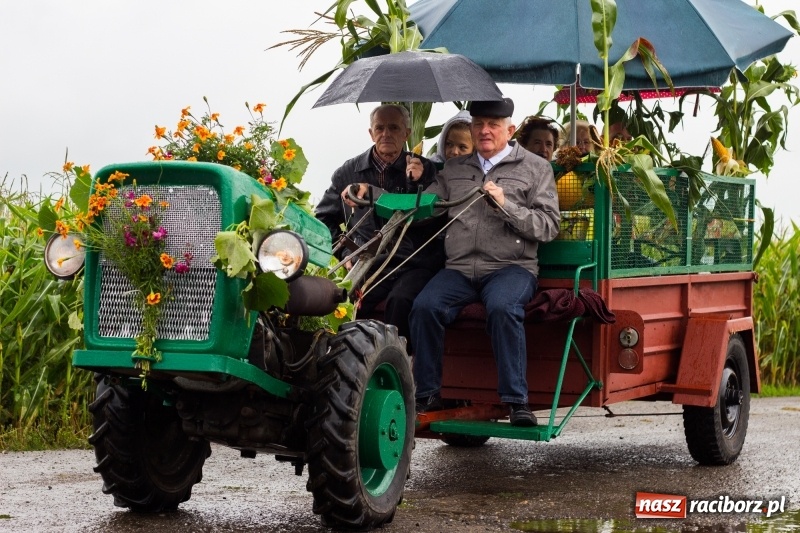 Zdjęcie w galerii na portalu naszraciborz.pl: Budziska gospodarzem gminnych dożynek Kuźni Raciborskiej FOTORELACJA wiadomości z regionu