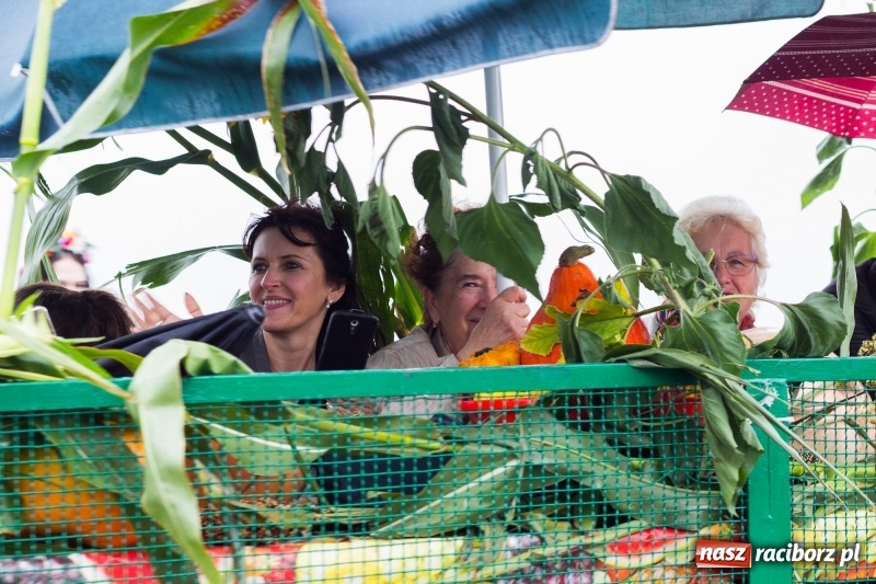 Zdjęcie w galerii na portalu naszraciborz.pl: Budziska gospodarzem gminnych dożynek Kuźni Raciborskiej FOTORELACJA wiadomości z regionu