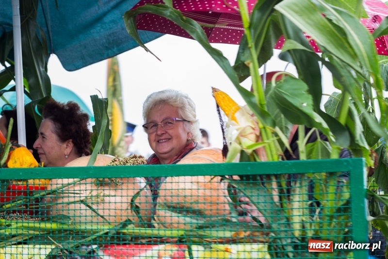 Zdjęcie w galerii na portalu naszraciborz.pl: Budziska gospodarzem gminnych dożynek Kuźni Raciborskiej FOTORELACJA wiadomości z regionu