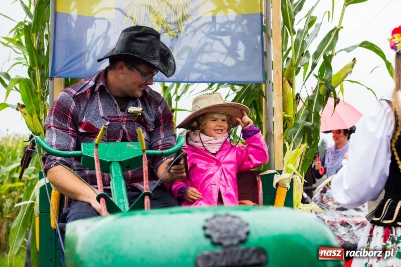 Zdjęcie w galerii na portalu naszraciborz.pl: Budziska gospodarzem gminnych dożynek Kuźni Raciborskiej FOTORELACJA wiadomości z regionu