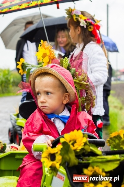 Zdjęcie w galerii na portalu naszraciborz.pl: Budziska gospodarzem gminnych dożynek Kuźni Raciborskiej FOTORELACJA wiadomości z regionu