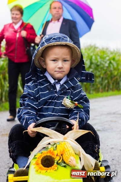 Zdjęcie w galerii na portalu naszraciborz.pl: Budziska gospodarzem gminnych dożynek Kuźni Raciborskiej FOTORELACJA wiadomości z regionu