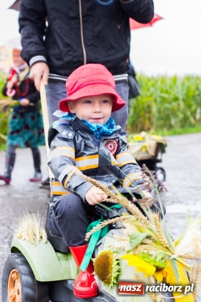 Zdjęcie w galerii na portalu naszraciborz.pl: Budziska gospodarzem gminnych dożynek Kuźni Raciborskiej FOTORELACJA wiadomości z regionu