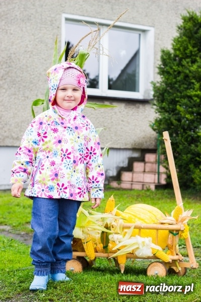 Zdjęcie w galerii na portalu naszraciborz.pl: Budziska gospodarzem gminnych dożynek Kuźni Raciborskiej FOTORELACJA wiadomości z regionu