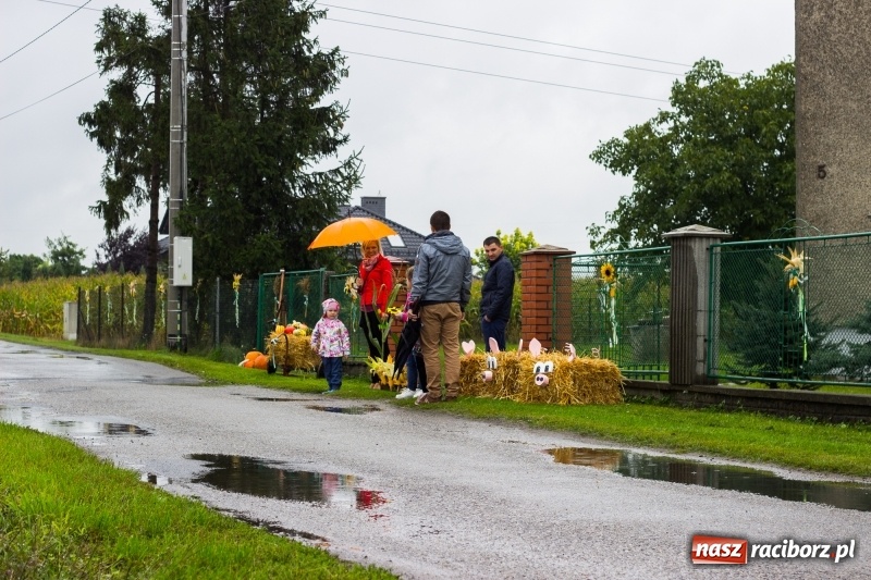 Zdjęcie w galerii na portalu naszraciborz.pl: Budziska gospodarzem gminnych dożynek Kuźni Raciborskiej FOTORELACJA wiadomości z regionu