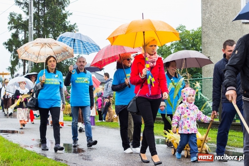 Zdjęcie w galerii na portalu naszraciborz.pl: Budziska gospodarzem gminnych dożynek Kuźni Raciborskiej FOTORELACJA wiadomości z regionu