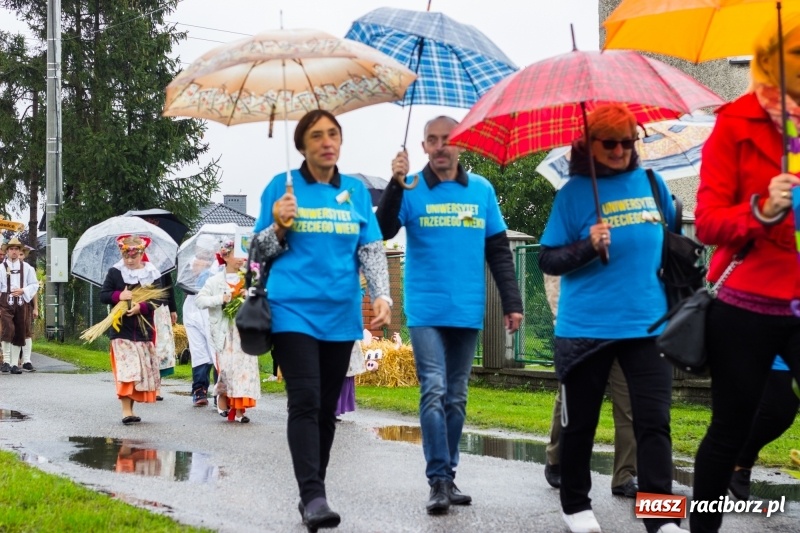 Zdjęcie w galerii na portalu naszraciborz.pl: Budziska gospodarzem gminnych dożynek Kuźni Raciborskiej FOTORELACJA wiadomości z regionu