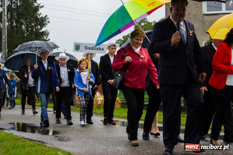Zdjęcie w galerii na portalu naszraciborz.pl: Budziska gospodarzem gminnych dożynek Kuźni Raciborskiej FOTORELACJA wiadomości z regionu