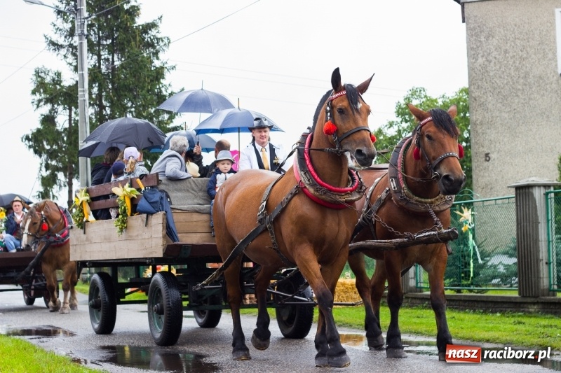 Zdjęcie w galerii na portalu naszraciborz.pl: Budziska gospodarzem gminnych dożynek Kuźni Raciborskiej FOTORELACJA wiadomości z regionu