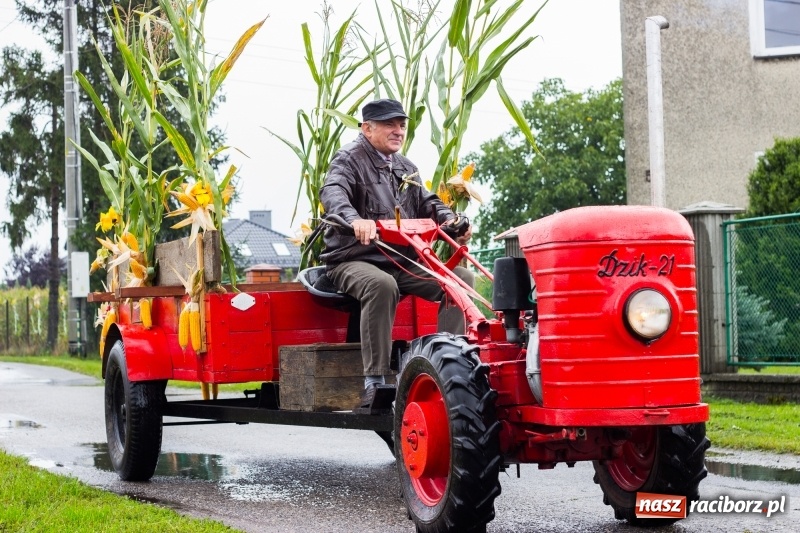 Zdjęcie w galerii na portalu naszraciborz.pl: Budziska gospodarzem gminnych dożynek Kuźni Raciborskiej FOTORELACJA wiadomości z regionu