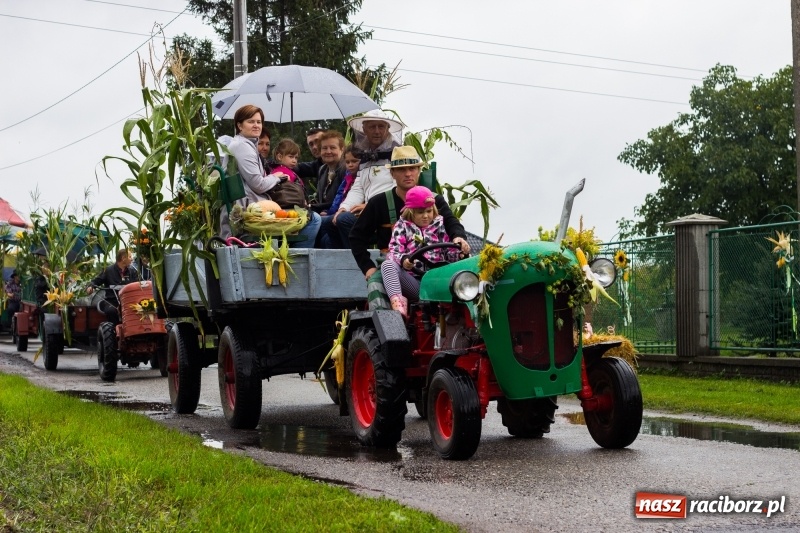 Zdjęcie w galerii na portalu naszraciborz.pl: Budziska gospodarzem gminnych dożynek Kuźni Raciborskiej FOTORELACJA wiadomości z regionu