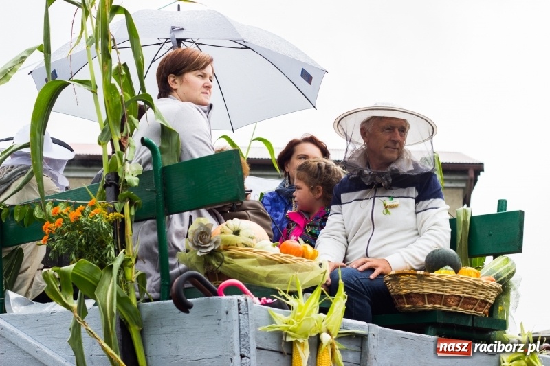Zdjęcie w galerii na portalu naszraciborz.pl: Budziska gospodarzem gminnych dożynek Kuźni Raciborskiej FOTORELACJA wiadomości z regionu