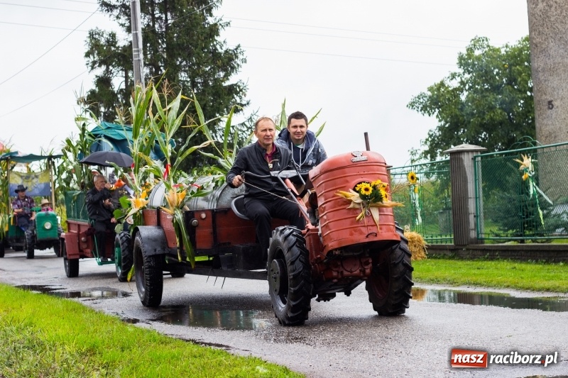 Zdjęcie w galerii na portalu naszraciborz.pl: Budziska gospodarzem gminnych dożynek Kuźni Raciborskiej FOTORELACJA wiadomości z regionu