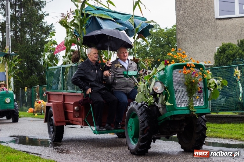 Zdjęcie w galerii na portalu naszraciborz.pl: Budziska gospodarzem gminnych dożynek Kuźni Raciborskiej FOTORELACJA wiadomości z regionu