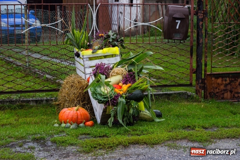Zdjęcie w galerii na portalu naszraciborz.pl: Budziska gospodarzem gminnych dożynek Kuźni Raciborskiej FOTORELACJA wiadomości z regionu
