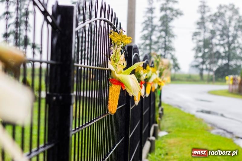 Zdjęcie w galerii na portalu naszraciborz.pl: Budziska gospodarzem gminnych dożynek Kuźni Raciborskiej FOTORELACJA wiadomości z regionu