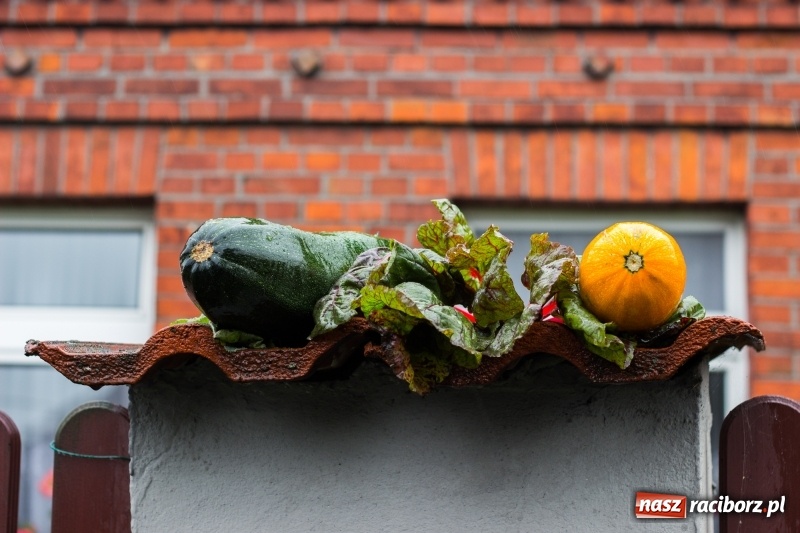 Zdjęcie w galerii na portalu naszraciborz.pl: Budziska gospodarzem gminnych dożynek Kuźni Raciborskiej FOTORELACJA wiadomości z regionu