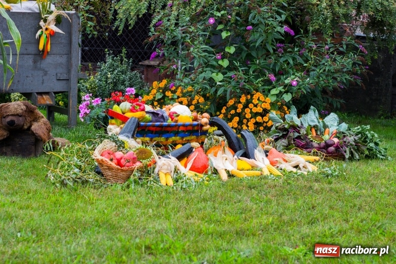 Zdjęcie w galerii na portalu naszraciborz.pl: Budziska gospodarzem gminnych dożynek Kuźni Raciborskiej FOTORELACJA wiadomości z regionu