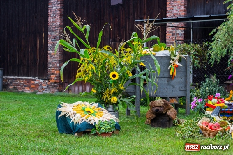 Zdjęcie w galerii na portalu naszraciborz.pl: Budziska gospodarzem gminnych dożynek Kuźni Raciborskiej FOTORELACJA wiadomości z regionu